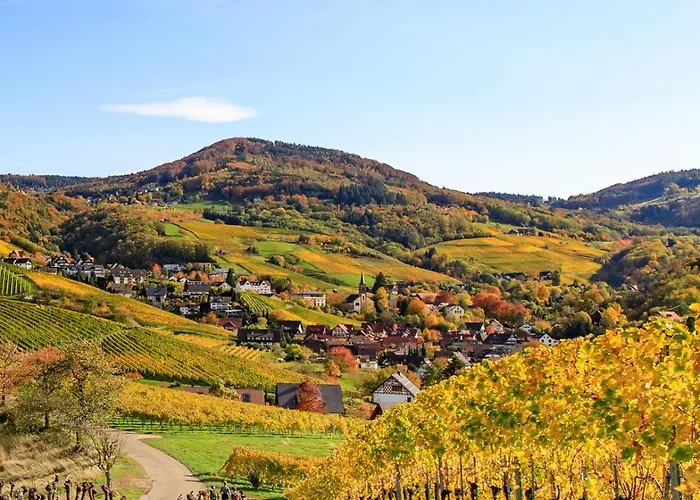 Appartement Premium Black Forest -